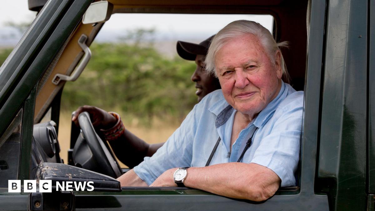 bbc.co.uk - Dave Harvey - How Sir David Attenborough built 'Green Hollywood' in Bristol