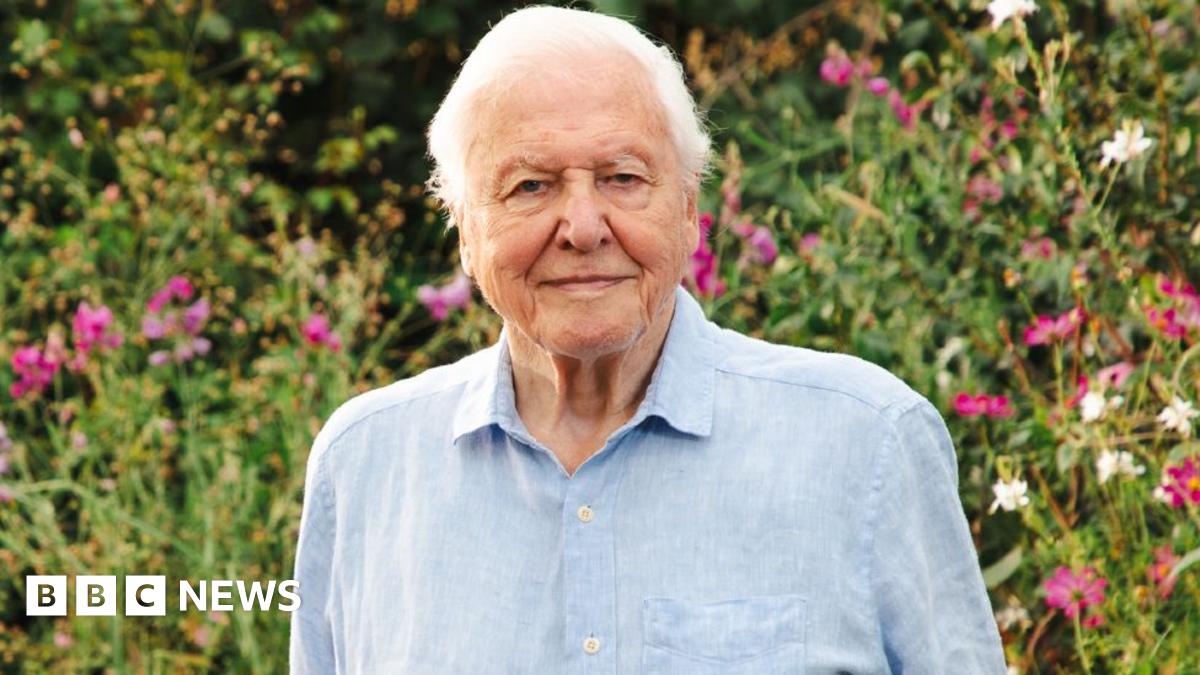 
                            Sir David Attenborough's 100th birthday to be marked by BBC with special programmes