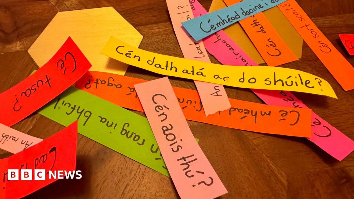 Millions for Irish language education spent elsewhere