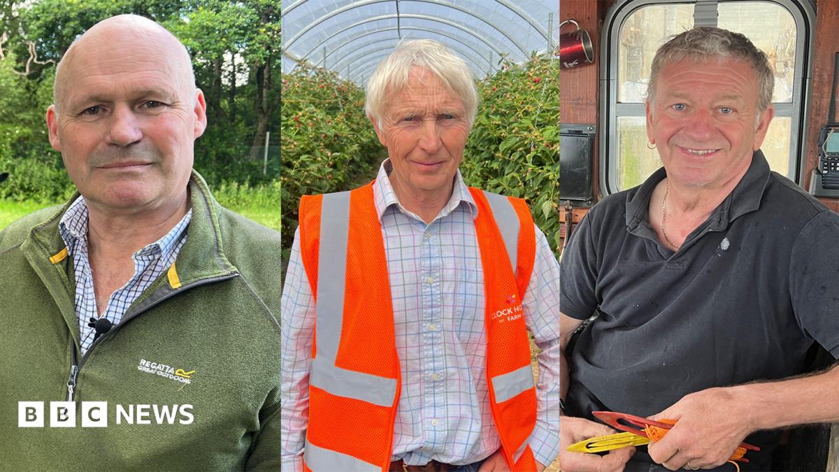 Brexit: 10 years on farmers and fishermen give their views
