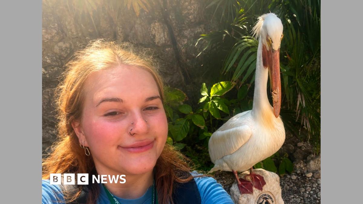 'Gut-wrenching': UK gap year students lose thousands after tour operator closes