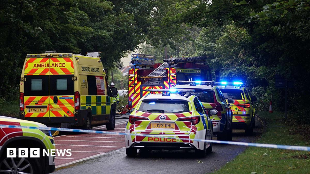 Woman injured after tree hits car in in Guestling, Sussex Police says