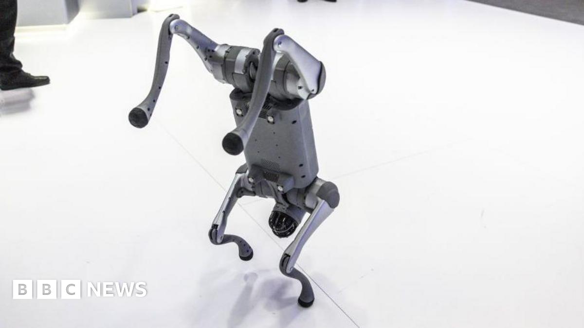 bbc.co.uk - Cherylann Mollan - Robot dog: Galgotias University faces backlash for claiming Chinese product as own at India AI summit