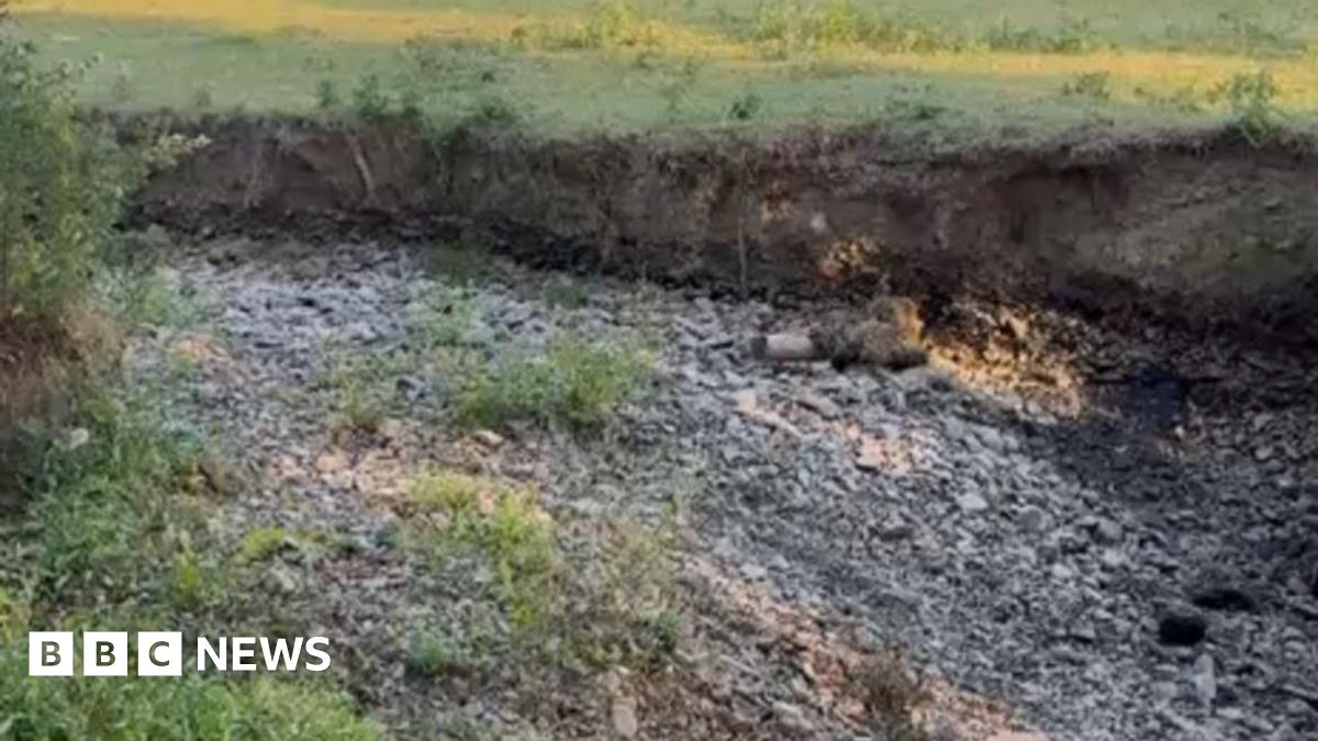 Welsh Community Rescues Thousands of Fish from Dried-Up Brook Amid Record Drought