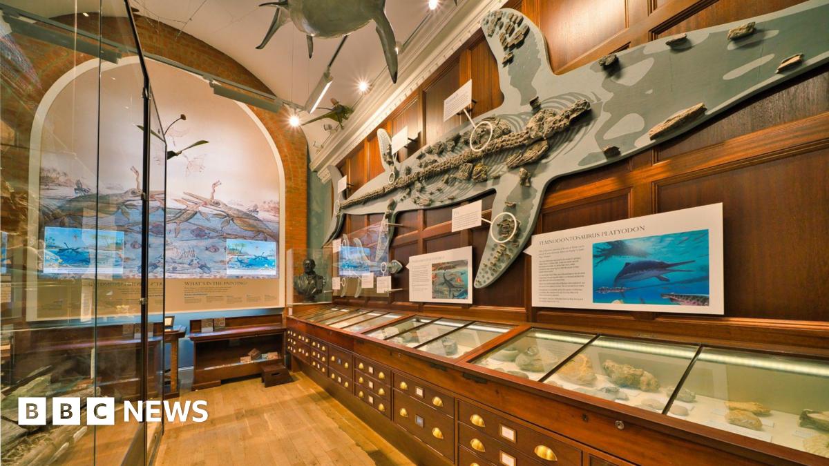 Lyme Regis Museum receives award for Jurassic collection