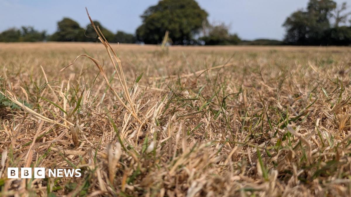 শুষ্ক আবহাওয়া কীভাবে গ্রামাঞ্চলকে প্রভাবিত করছে?