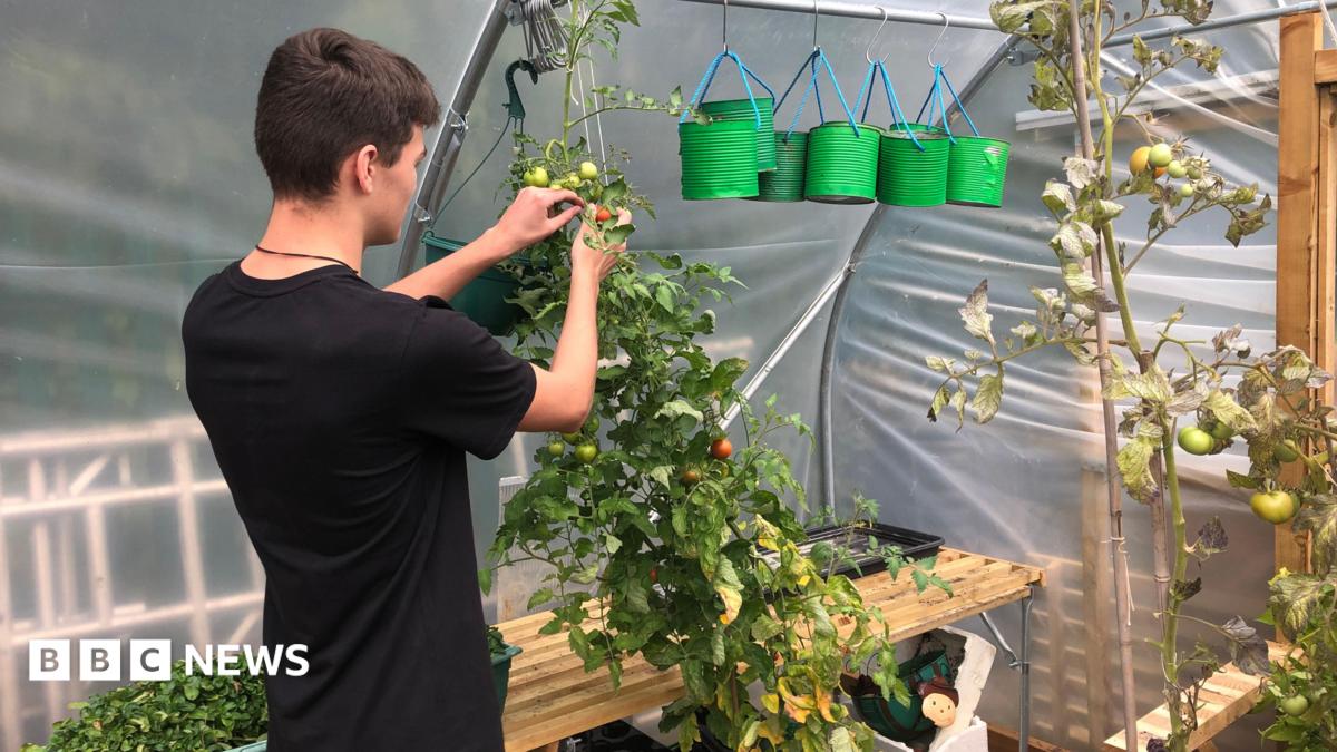 Northamptonshire cooking and growing programme awarded £344k