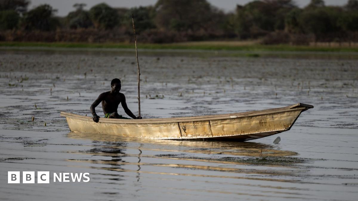 Nigerian fishermen feared dead after Chad air strikes on Boko Haram