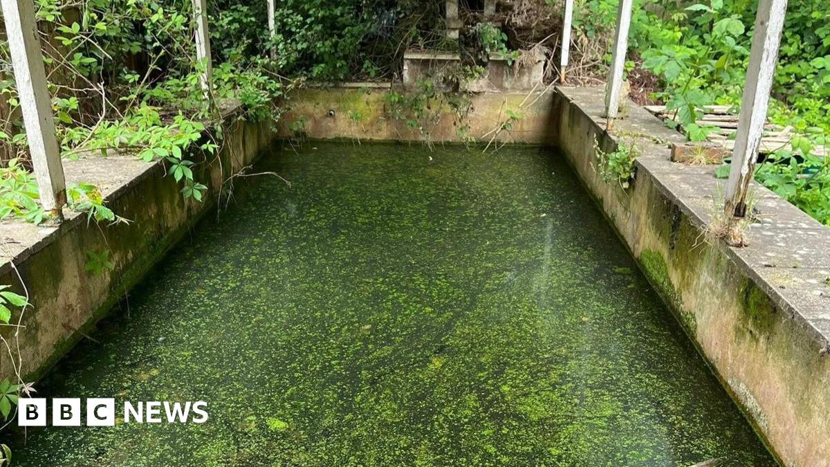Woman tells of shock at dead cats discovery at Coventry pond