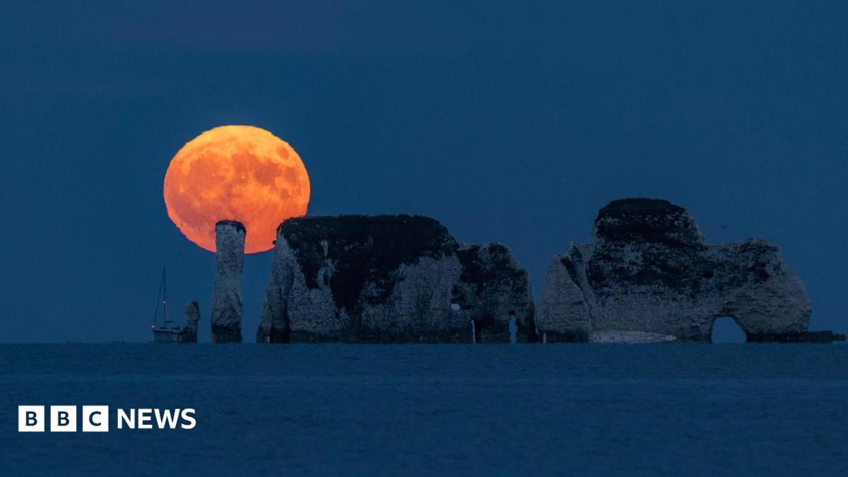In pictures: Stunning Strawberry Moon lights up the sky