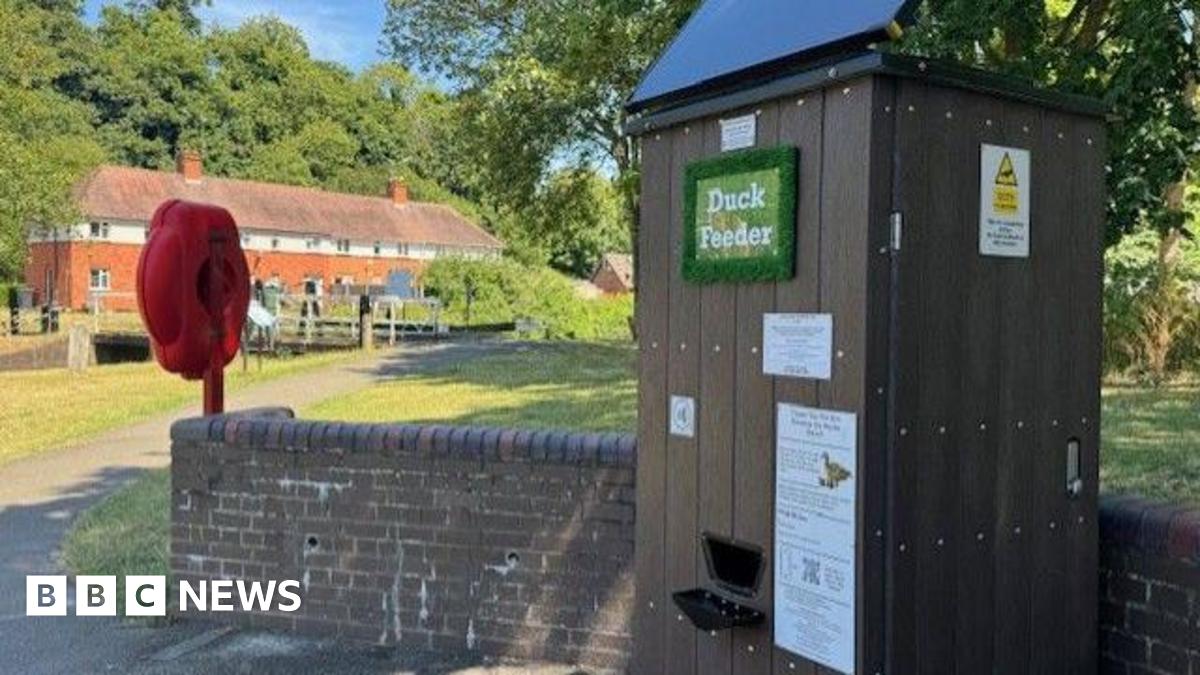 The duck vending machine is pictured at the park next to a small brick wall. It has a solar panel on the roof with a wooden panelled frame. A green sign reads duck feeder. 