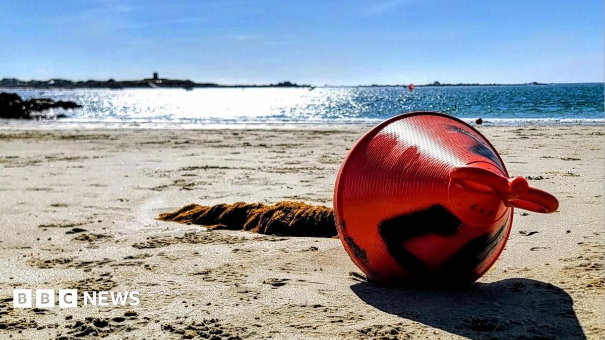 No Guernsey hosepipe ban planned despite water usage warning