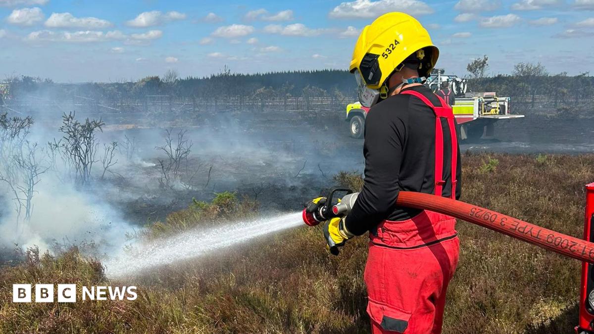 Fire deployment reduced as New Forest emergency eases