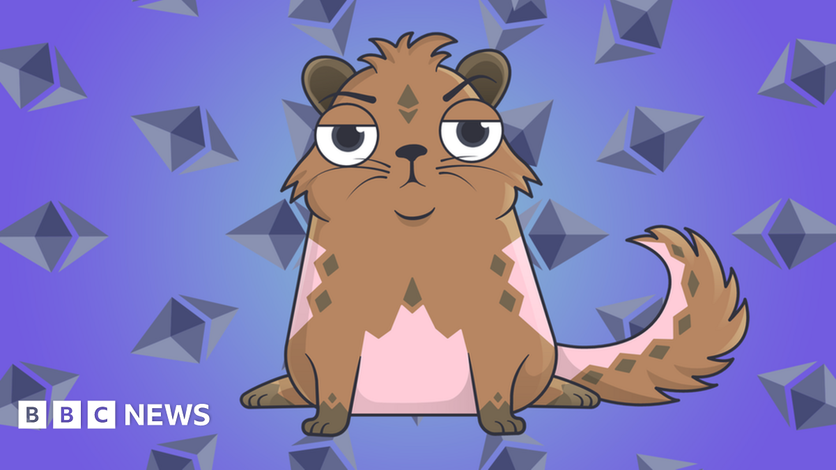 Buying a pink NFT cat was a crypto nightmare - BBC News