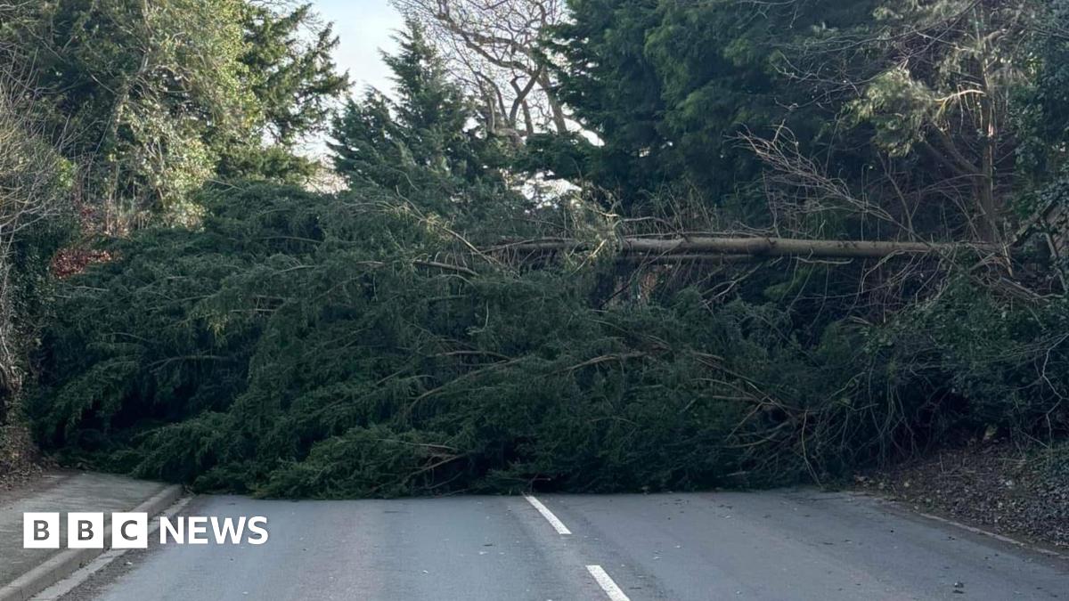 Storm Éowyn causes disruption across West Midlands