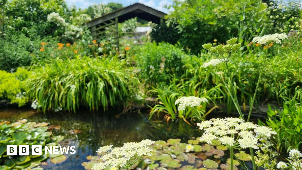 Blooming Minds: How a Singapore Garden is Healing Mental Health & Transforming Lives