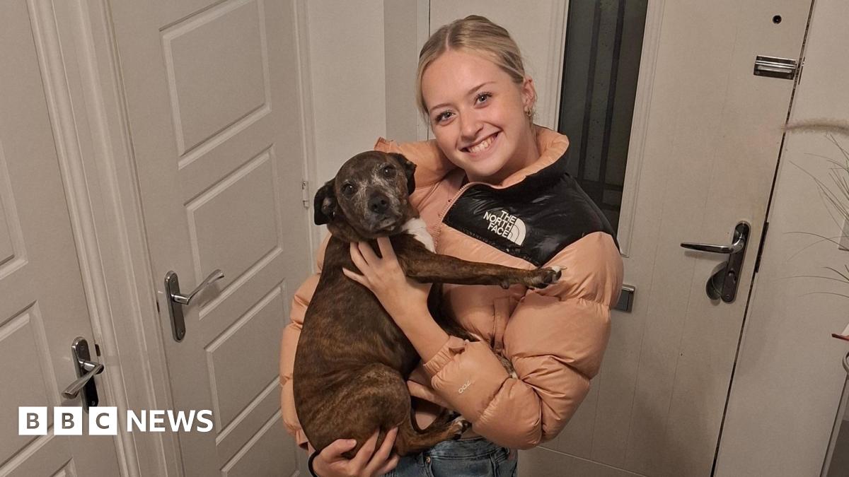 
                            Meningitis B vaccinations calls after Pontypool student, 18, dies