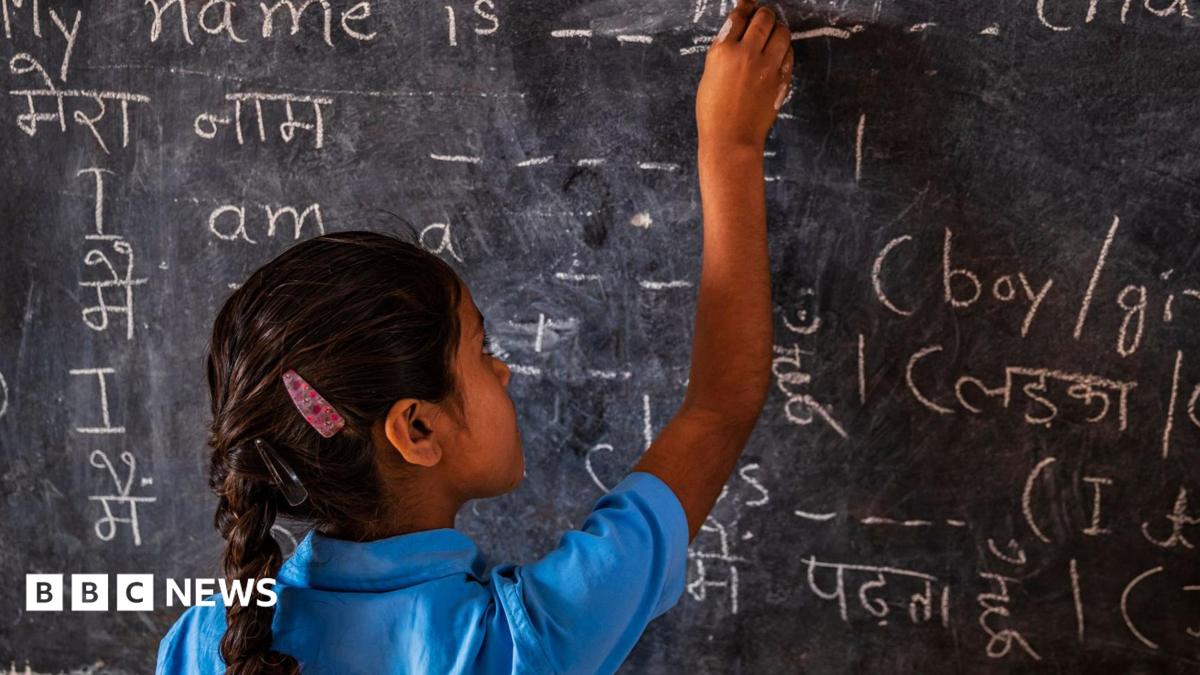 Broken toilets, leaking roofs: Why India's 'cockroach' party wants to fix schools