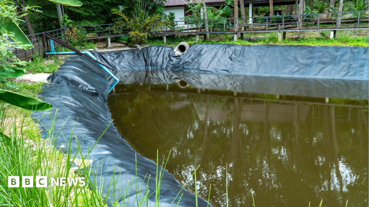 Farm requests irrigation pond be built near Lingfield for water supply