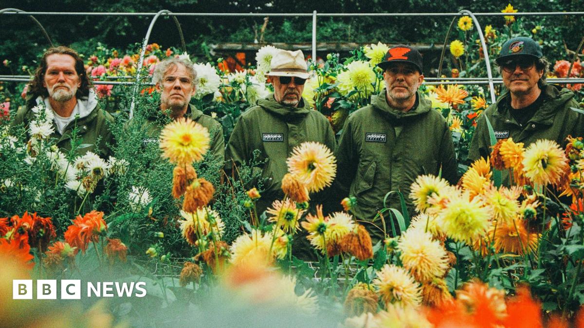 Super Furry Animals to play first tour in a decade