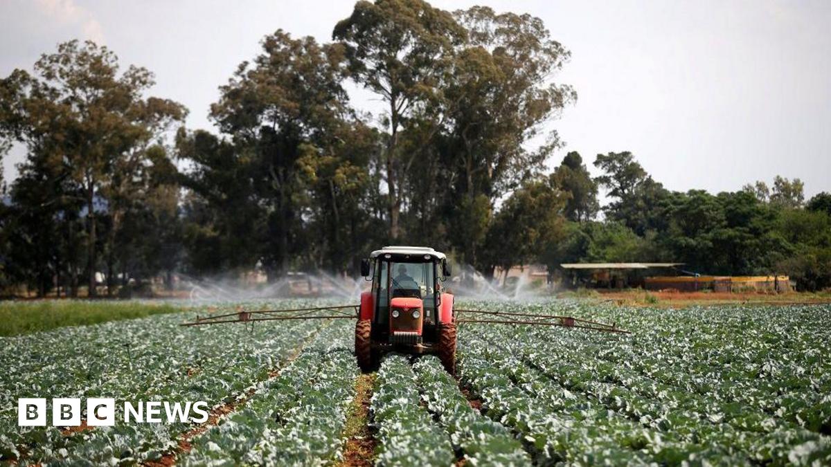 Trump signs order freezing aid to South Africa over land law