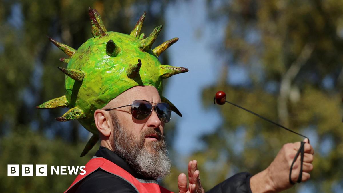 World Conker Championships: 2025 Winner is crowned