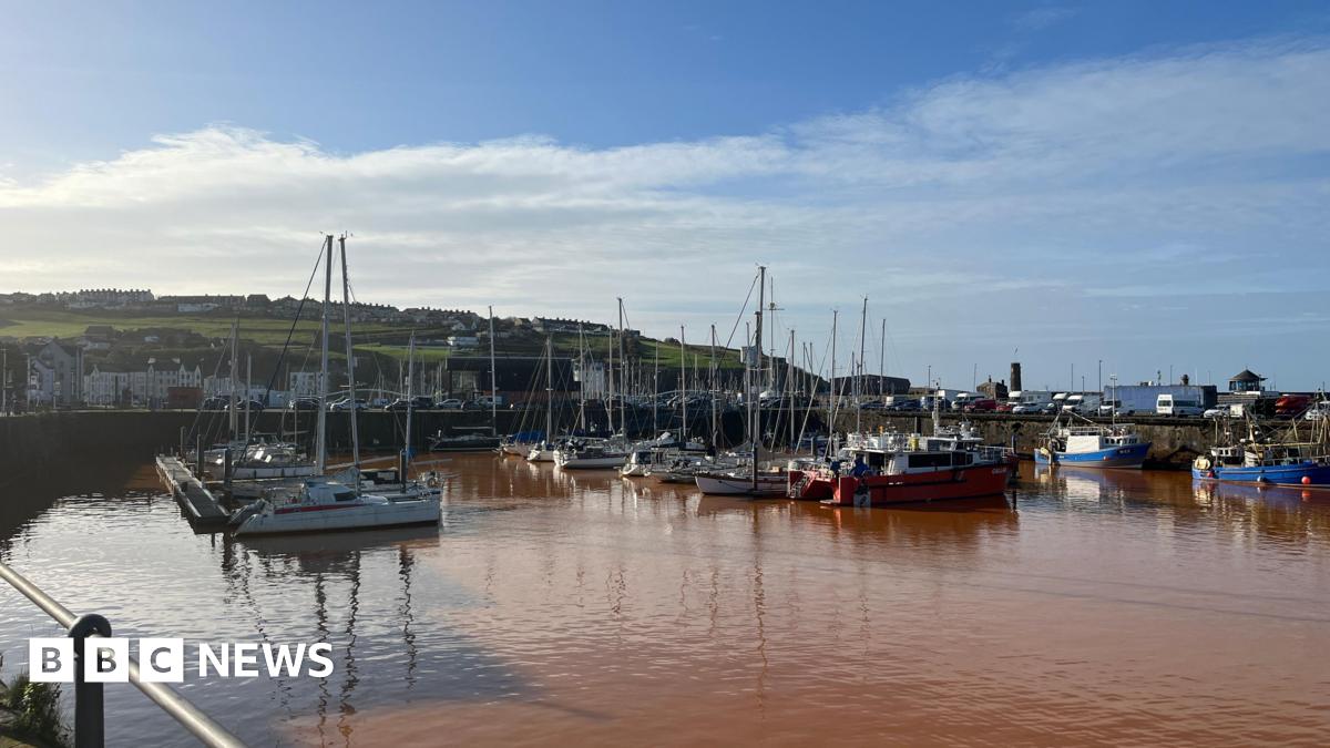 Whitehaven Harbour's orange water faces setback