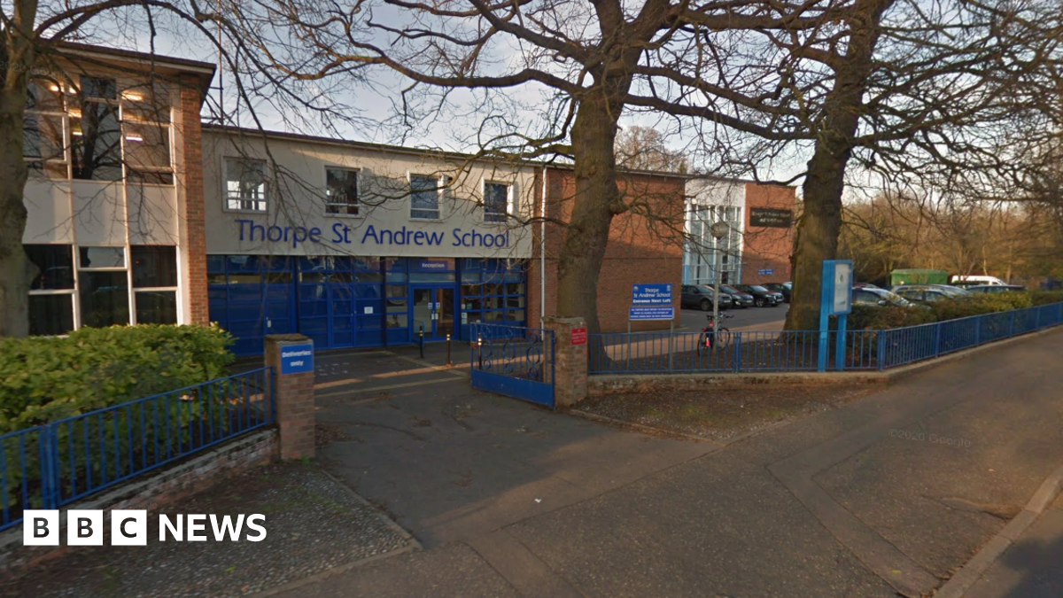 
                            Teenage girl stabbed at Norfolk school, leading to police hunt