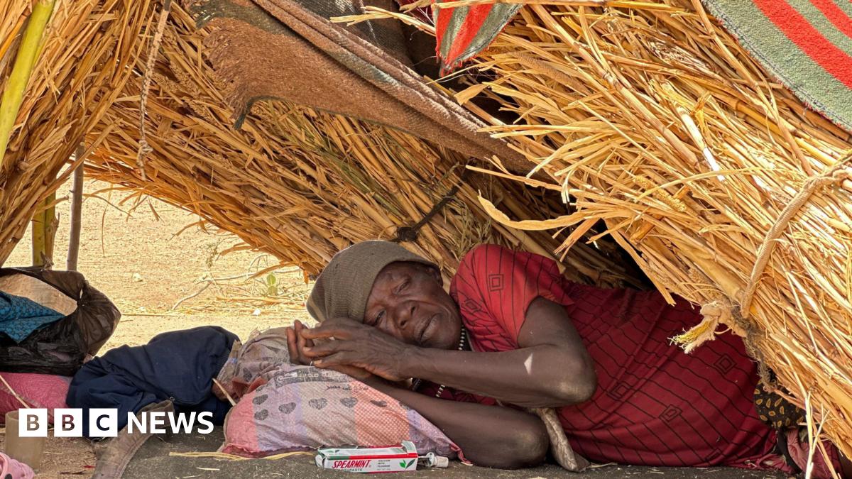 Sudan war: People eating charcoal and leaves to survive, aid agency warns