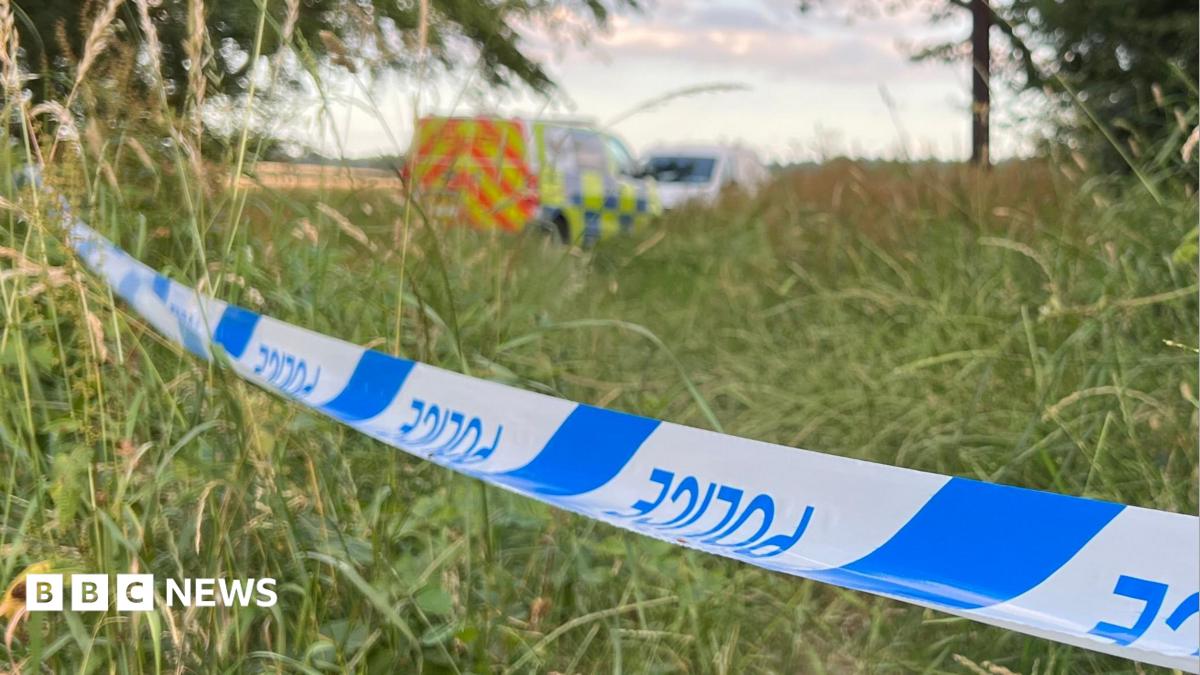 Plane crash victim was celebrating finishing studies