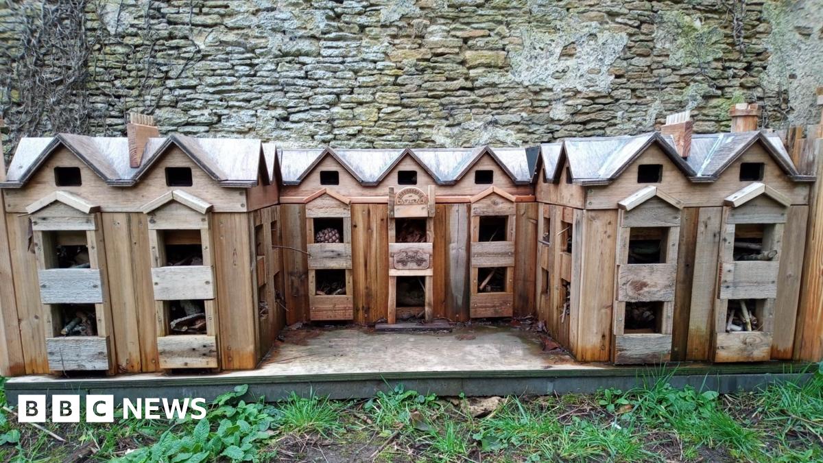 Town creates bug hotel inspired by Corsham Court