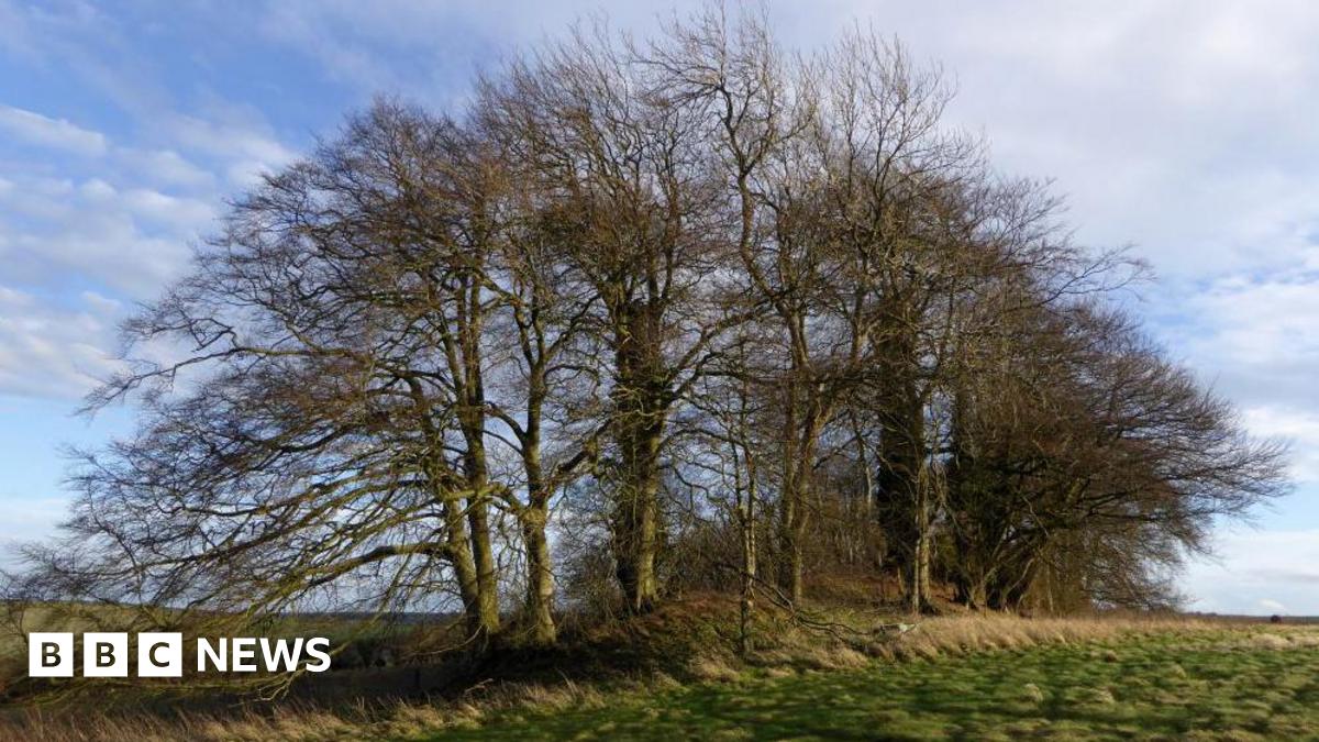 Ancient landmarks closed off to walkers, campaigners say - BBC News