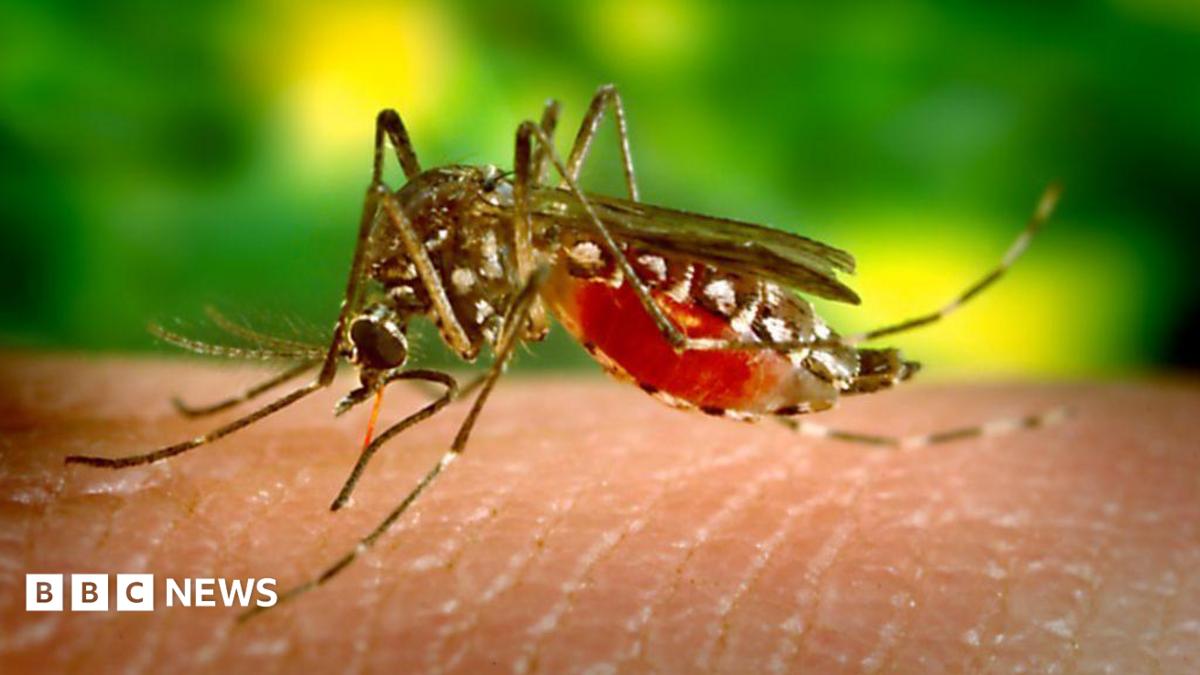 What is the mosquito-borne disease Sri Lanka is using drones to fight?