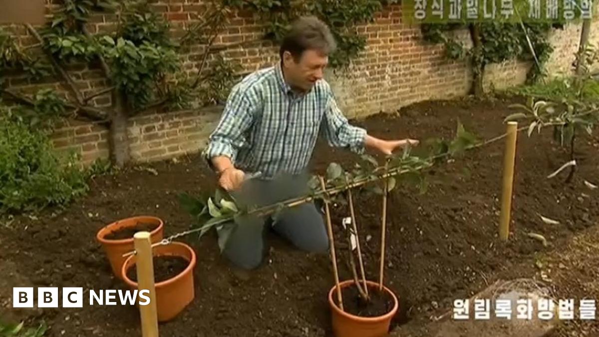 www.bbc.co.uk