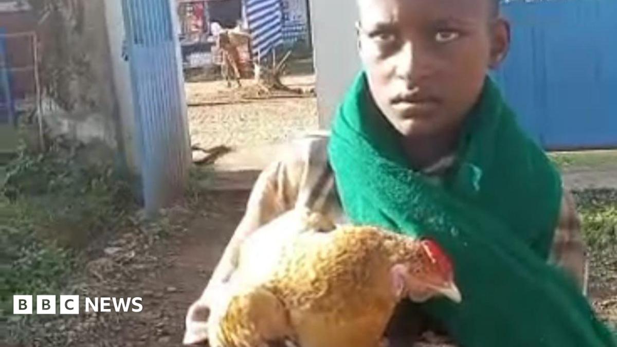 Ethiopian boy, 12, wins hearts after trying to check sick chicken into hospital
