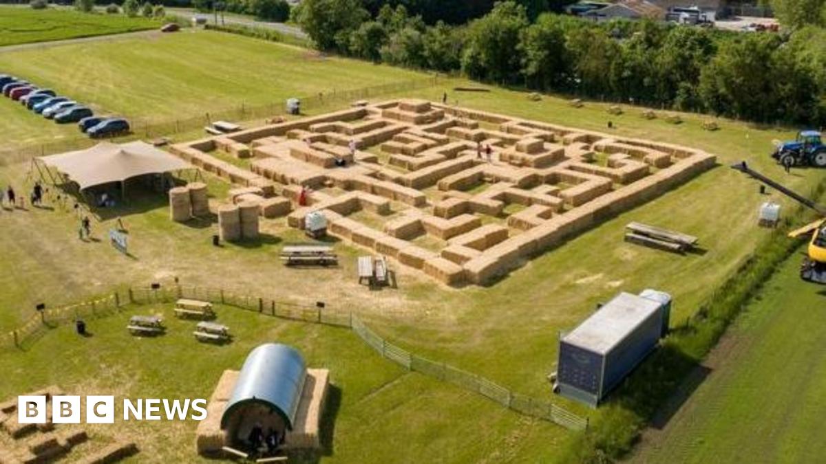 An overhead shot shows hundreds of straw bales laid out in an intricate maze in a giant field, with farm buildings dotted around the outside of it. A line of large leafy trees are on the horizon above the laid out bales.
