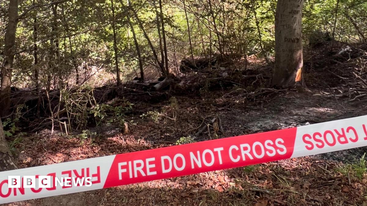 Part of Barton Hills Nature Reserve destroyed in suspected arson