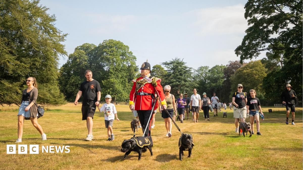 bbc.co.uk - Richard Price - Over 100 people and dogs join 'biggest' Staffy walk at Weston Park