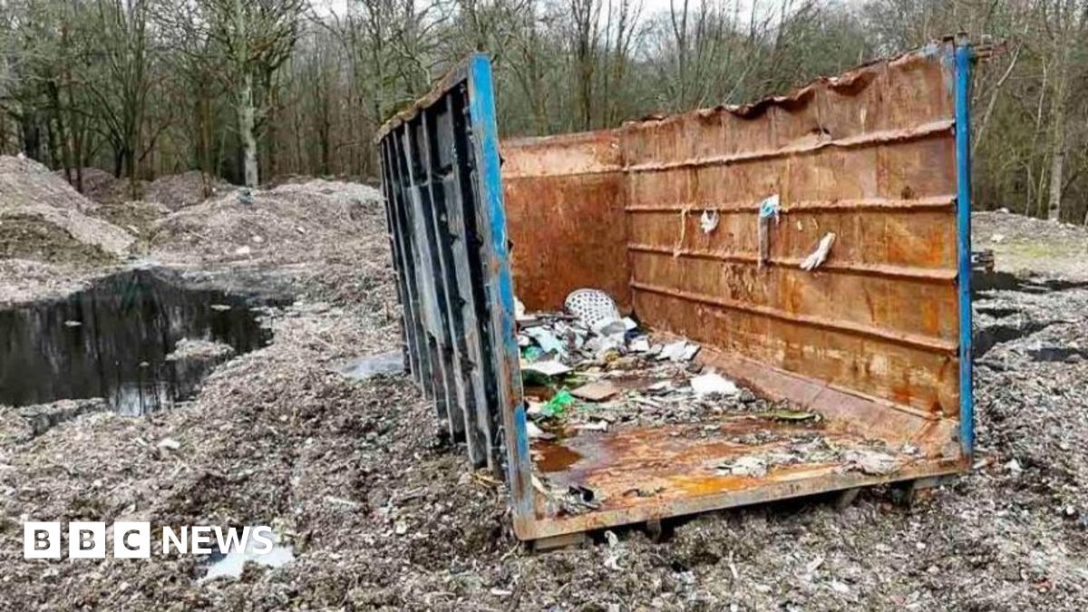 A woodland scene with piles of waste and a skip in the forefront