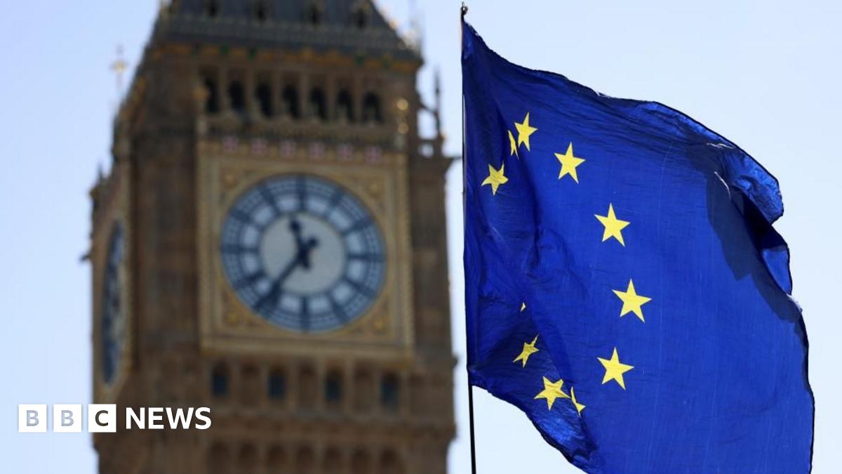 bbc.co.uk - Faisal Islam - UK officials suggested single market for goods with Europe