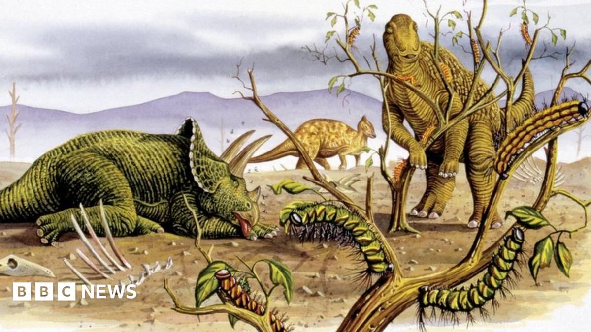 Plant-eating dinosaurs 'strayed from veggie diet' - BBC News