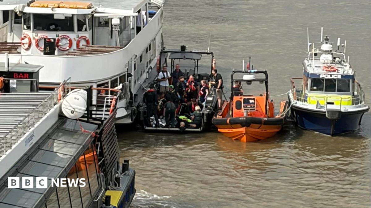 Five police officers injured as boat strikes Westminster Bridge