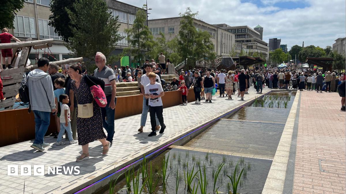 Owners told 'don't let dogs wee' in new Plymouth water feature
