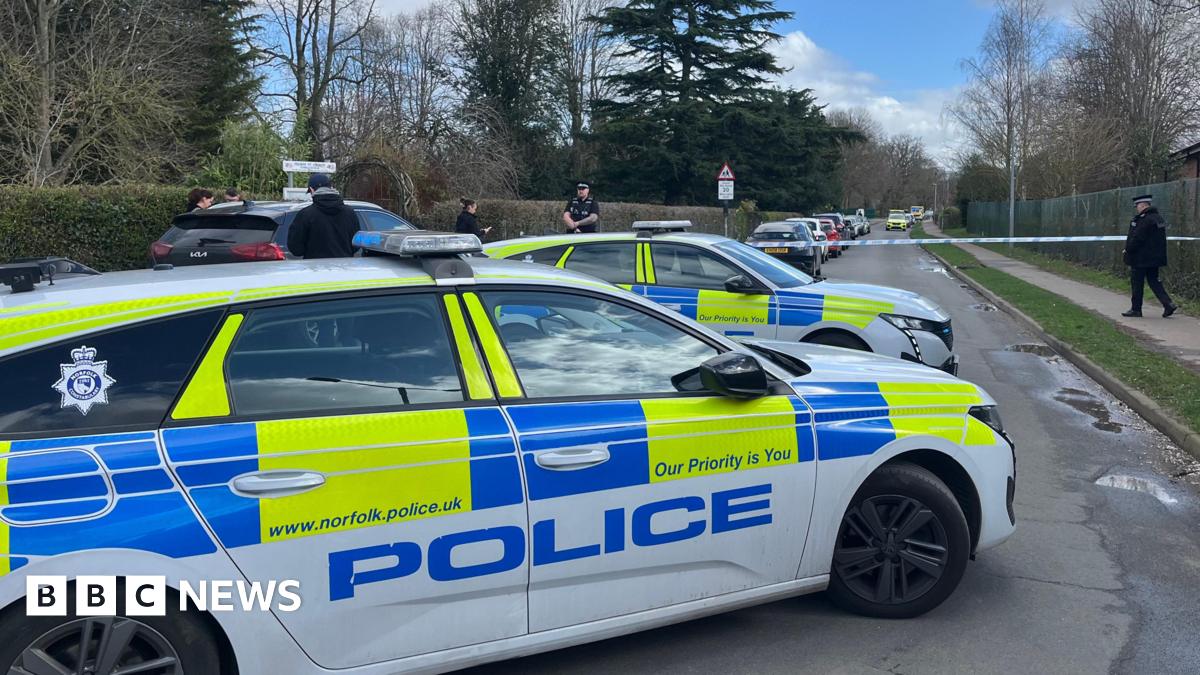 Thorpe St Andrew School Stabbing Incident: A Factual Trend Summary