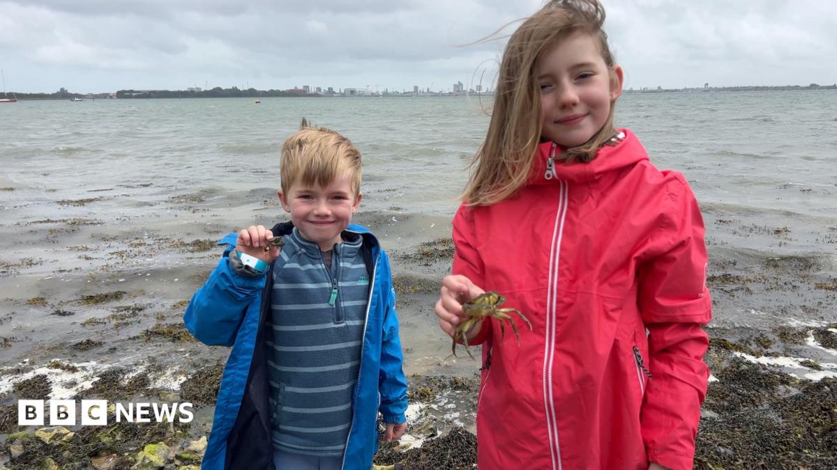 Hampshire wildlife trust backs responsible Portchester crabbing event
