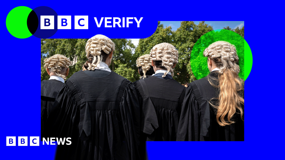 BBC Verify-branded image showing five barristers, both male and female, facing away from the camera wearing wigs and black robes.