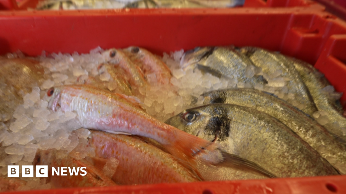 Plymouth's 'virtual fishmonger' aims to promote local catch
