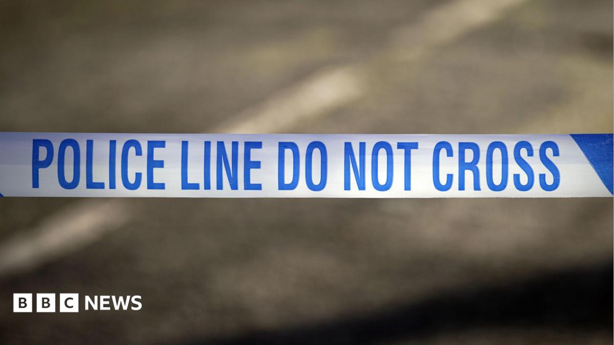 75-year-old woman dies after burglary in Tollington Park