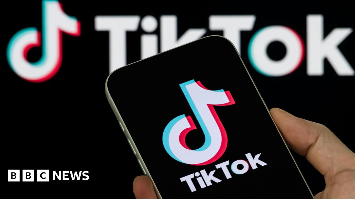 TikTok launches 3.99 subscription for no ads in UK