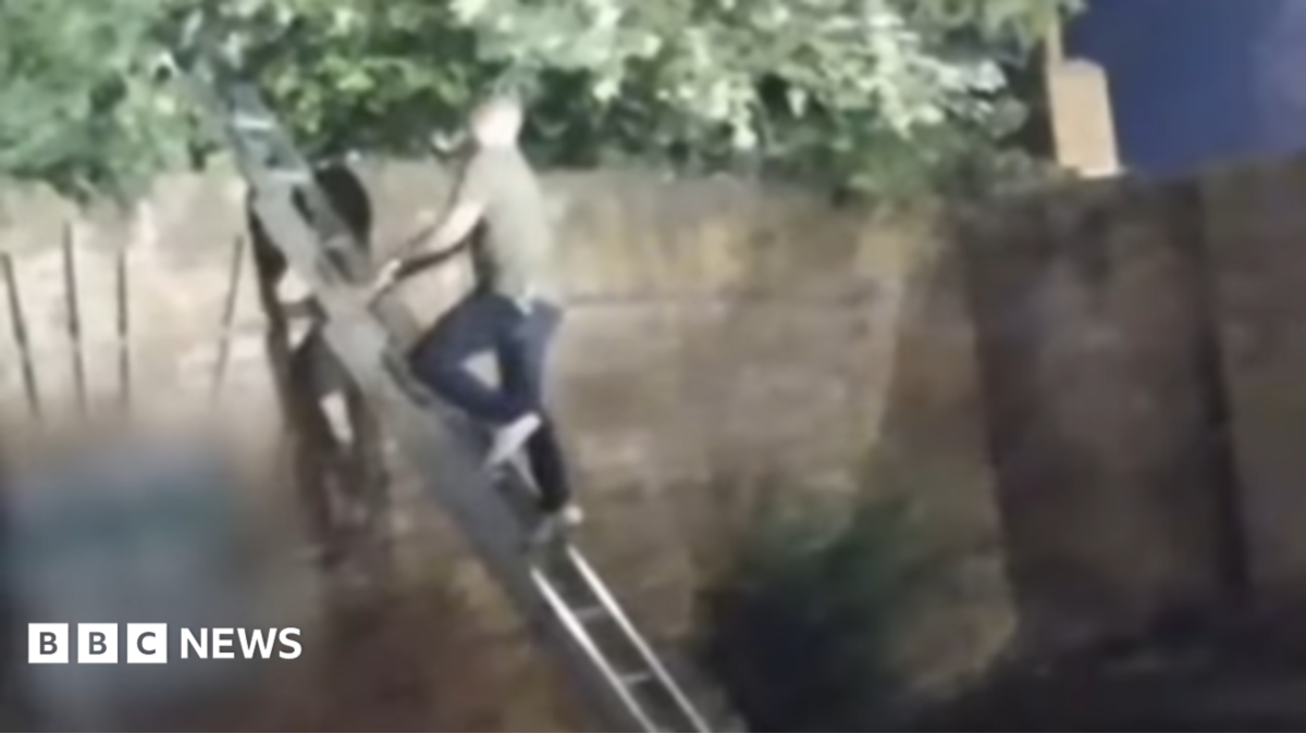 Doncaster burglary suspect talked down from tree after two hours